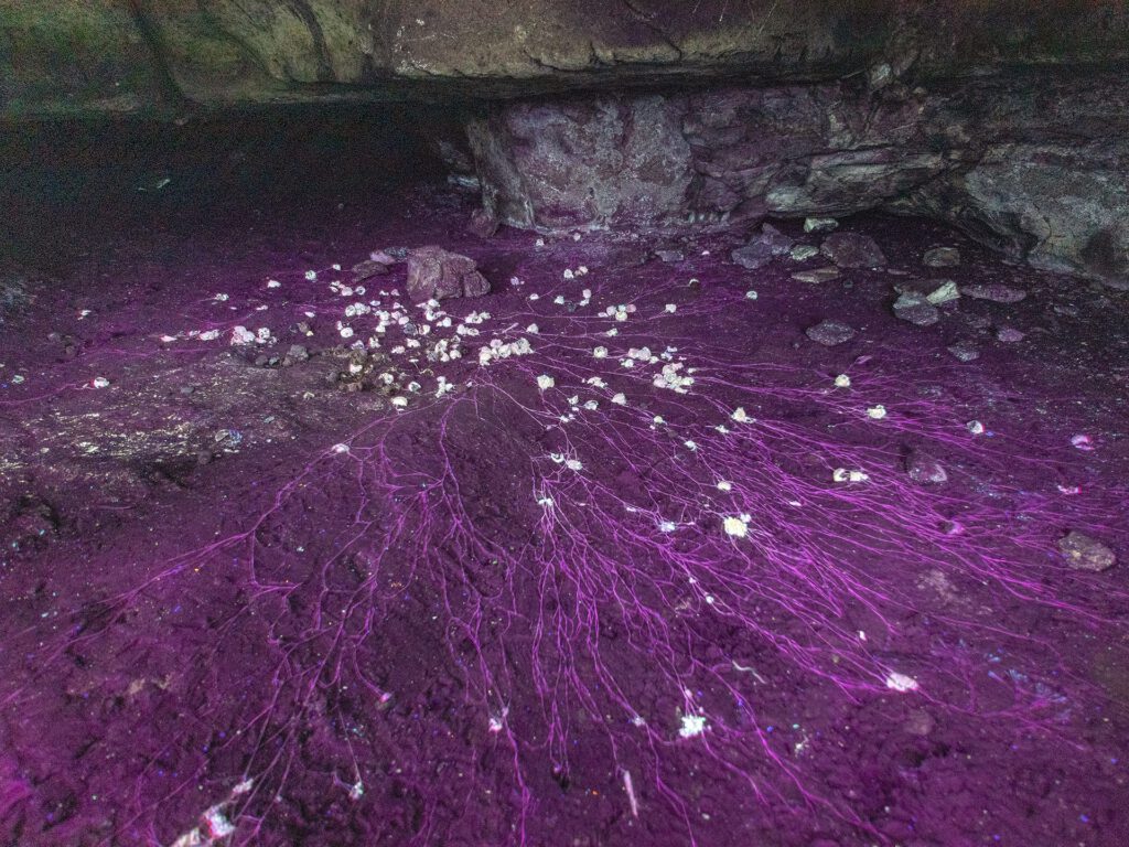 Colorful purple and white rocks on the ground of the Caverns