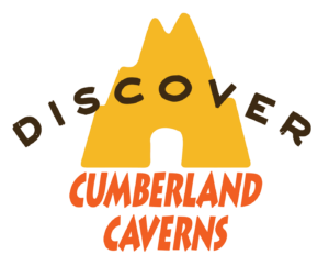 Discovery Cumberland Cavrens