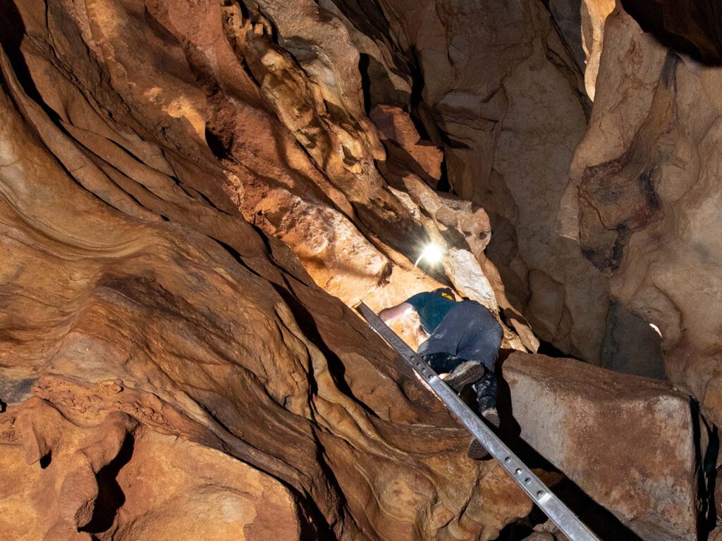 Person climbing up a ladder in the caverns